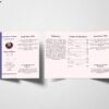 Frame-Style-Trifold-Funeral-Program-Template2-scaled-1.jpg